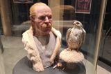 Archeoskanzen Modrá, výstava Elity Velké Moravy II. - člověk a zvíře