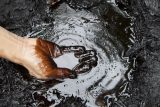 Ropa je známá jako hnědá až černá kapalina. Může ale být i žlutá nebo průhledná