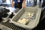 TSA, letiště, USA, letištní kontrola