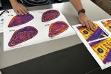 Termální ortofotomapa městské památkové rezervace v Hradci Králové