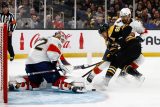 David Pastrňák bojuje s obráncem Florida Panthers Sethem Jonesem