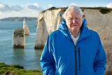 Přírodovědec David Attenborough