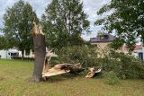 Vítr o síle orkánu ve Vysokém Mýtě vyvracel stromy a poškodil několik střech