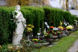 Ústřední hřbitov v Olomouci