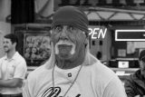 Hulk Hogan