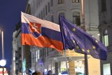 Protesty Slováků za proevropské směřování Slovenska v Brně