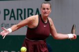 Petra Kvitová v zápase 1. kola Roland Garros proti Švýcarce