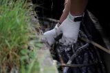 Vyšetřovatel odstraňuje zápalné zařízení z ohořelých kabelů v blízkosti železničních kolejí
