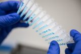 Biocev, sekvenační laboratoř. ilustrační foto