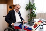 Miloš Zeman ve své kanceláři čeká na Petera Pellegriniho