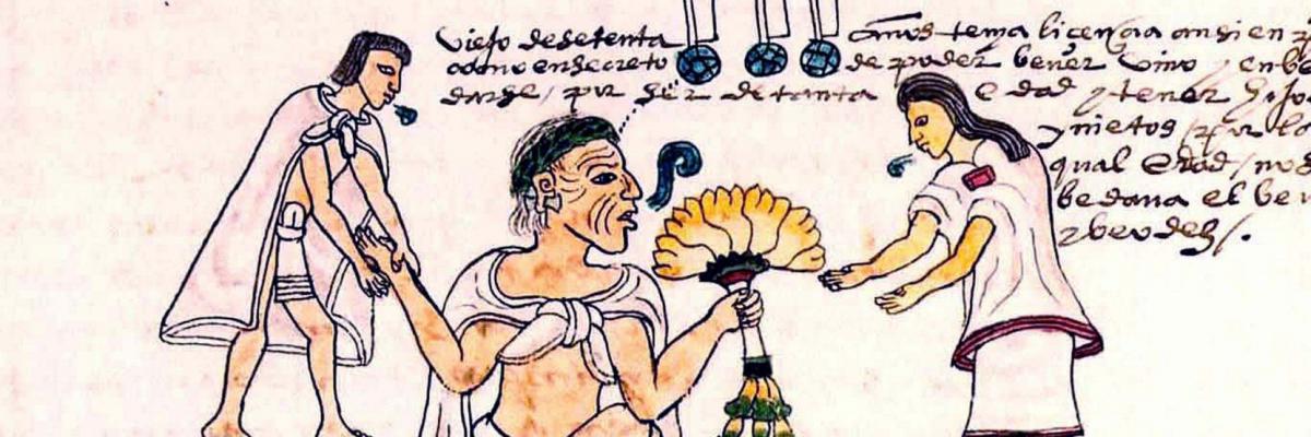 Onemocnění tehdy mělo rychlý průběh. Provázel je rychlý nástup vysokých teplot, bolesti hlavy a následné krvácení z úst, očí a nosu. Smrt přišla během tří až čtyř dnů. (Malba aztécké ženy z 15. století, ilustrační snímek).