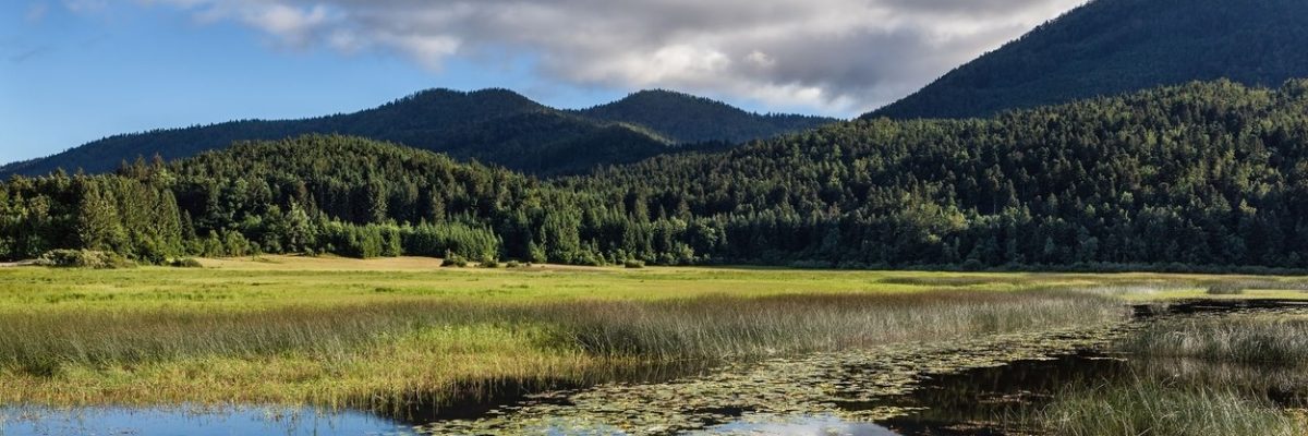 Slovinské Cerknické jezero (Cerkniško jezero, Lake Cerknica) patří k nejkrásnějším v Evropě. Navíc má jednu velkou zvláštnost: v průběhu roku prosychá, takže se pravidelně rozlévá a pak zas mizí.