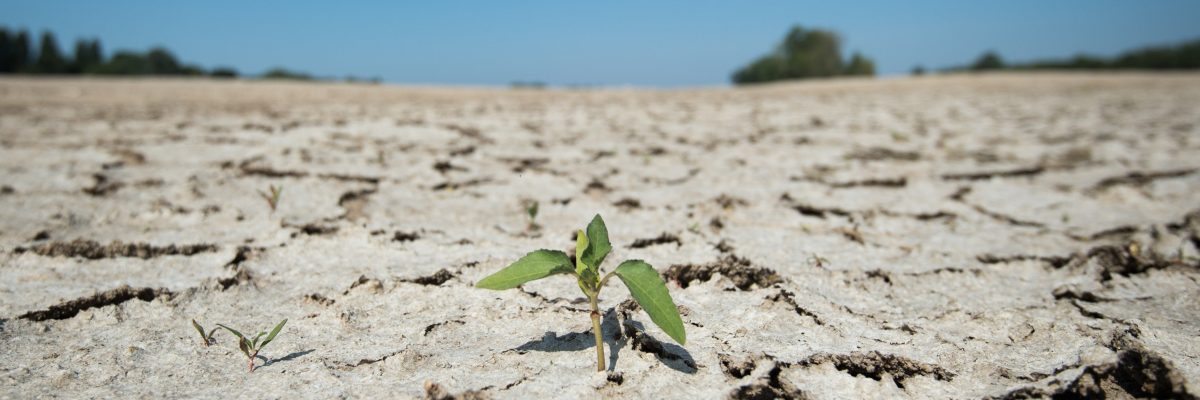 Zpráva Mezivládního panelu pro změny klimatu upozorňuje, že ke zmírnění globálního oteplování nestačí jen snižovat emise oxidu uhličitého produkovaného továrnami či auty, ale je třeba změnit způsob využívání půdy i chování spotřebitelů