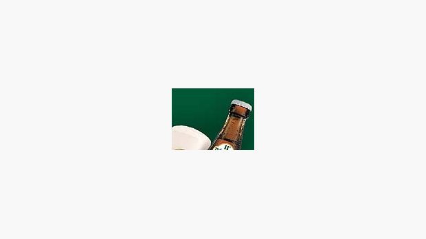 11° pivo