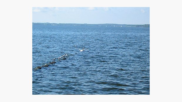 Mazury - jezero Niegocin