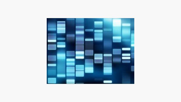 Analýza DNA umožňuje lepší poznání podstaty rakovinových onemocnění