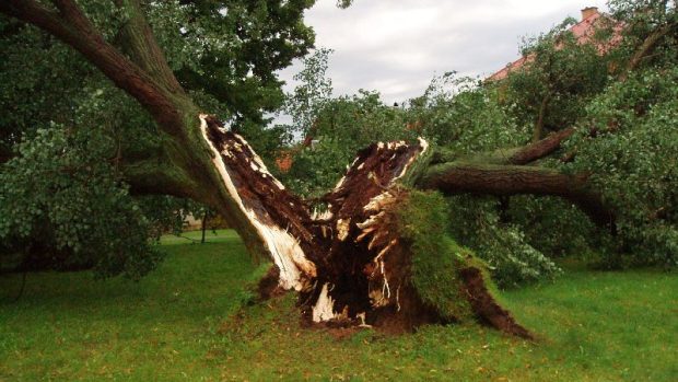 Následky vichřice na Mladoboleslavsku