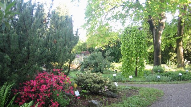 Prostějov - botanická zahrada