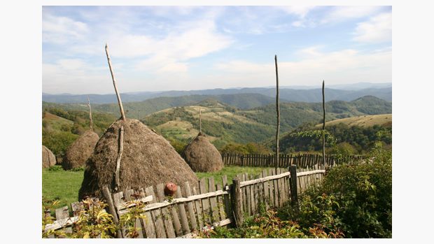 Z výstavy Český Banát: Pohled na louky a pastviny v okolí Rovenska