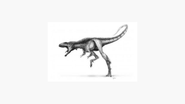 Raptorex kriegsteini