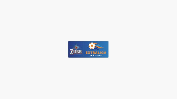 Logo Zubr extraligy