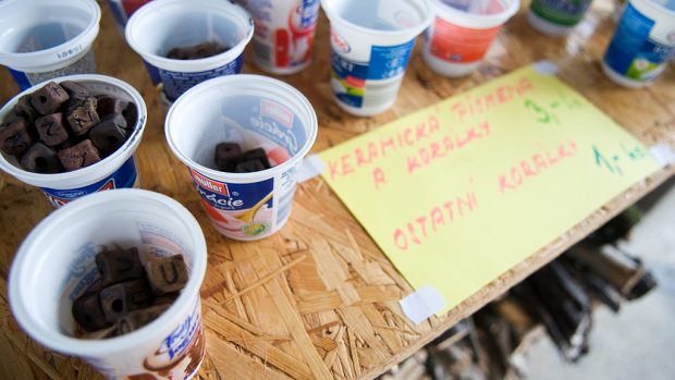 Resocializační a terapeutické oddělení v Psychiatrické léčebně Kosmonosy