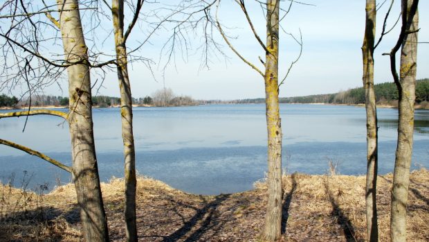 Vlkovská pískovna