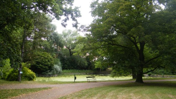 Park (ilustr. obr.)