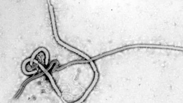 Ebola