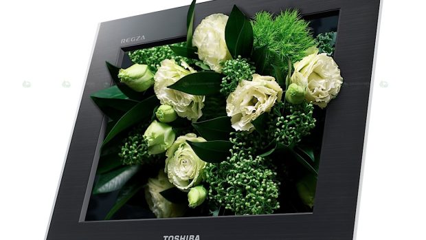 Toshiba Regza GL1, první komerčně nabízená autostereoskopická 3D televize