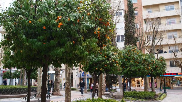 Granada. Na první pohled to nevypadá, že by se kousek odsud dalo výtečně lyžovat