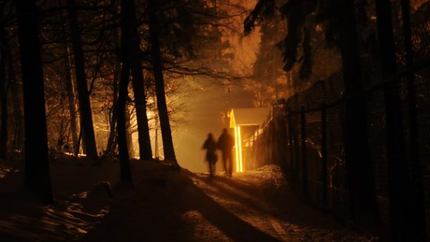 Večerní prohlídky v Zoo Olomouc