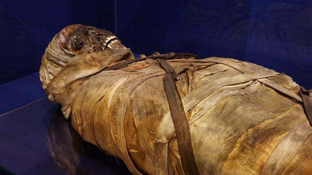 Z výstavy Egyptské mumie v Náprstkově muzeu v Praze
