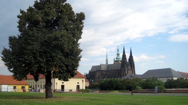 Pohled na Hradčany z produkčních zahrad Pražského hradu