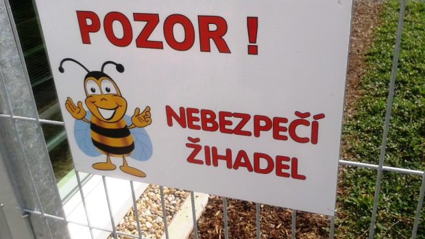 Včely ve městě