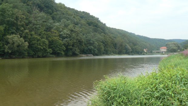 Berounka je dnes klidná řeka