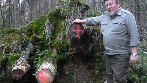 Vedoucí územního pracoviště Správy NP Šumava v Prášilech Václav Drha