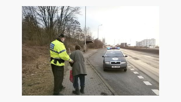 Městská policie (ilustr. obr.)