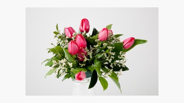 Kytice tulipánů