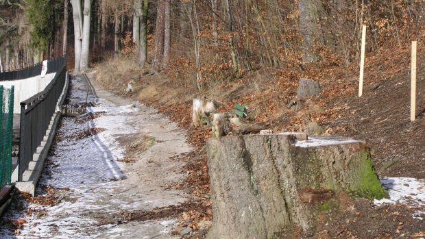 Poničená lázeňská stezka nad centrem Karlových Varů