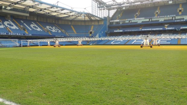 Trávník na stadionu londýnské Chelsea - Stamford Bridge