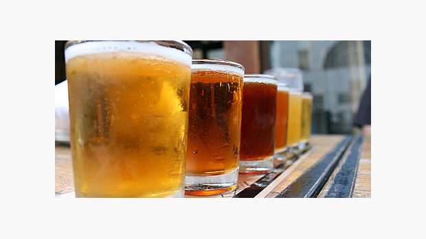 pivo, sklenice piva, pivo na pultě, pitný režim/ilustr. obr.