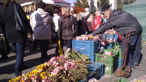 Cibulový jarmark v Hořovicích na Berounsku