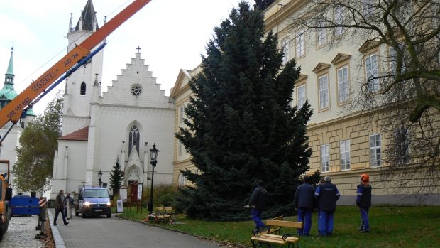Vánoční strom už je na svém místě na Zámeckém náměstí