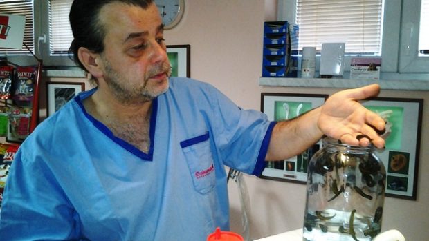 Veterinář František Zahrádka s pijavicemi lékařskými