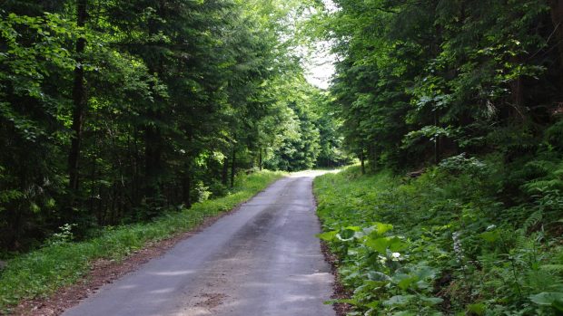 Františkov a údolí Hučavy - lesní silnička k Volské louce