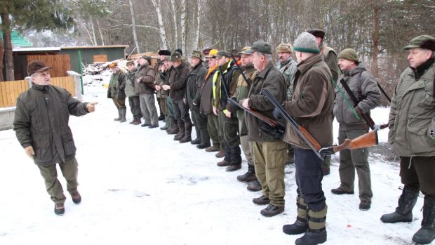 V Praze 6 se přemnožili divočáci, vyrazili na ně myslivci