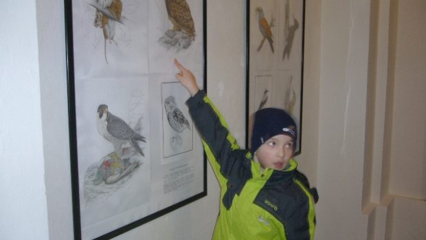 Vlastivědné muzeum v České Lípě se opět otevřelo veřejnosti