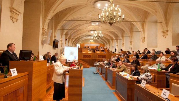 Bývalá předsedkyně rady Ústavu pro studium totalitních režimů (ÚSTR) Naděžda Kavalírová při slyšení v Senátu