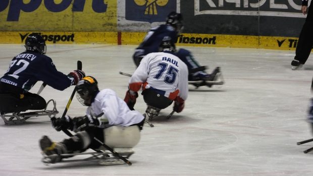 Čeští sledge hokejisté